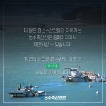 (주)갈릴리수산어업회사법인 고금지점 | 청년의 눈으로 본 수산업·어촌 #강원·경북