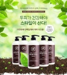청호헤어켈러리 | 환절기 두피관리로 촉촉한 헤어만들기, 청호나이스뷰티(회장 정휘동) 휘엔느 퓨어테라피 모링가 샴푸&트리트먼트