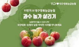 대구경북능금농협임고사업소 | 11번가-대구경북능금농협, 대구·경북 사과 농가 지원