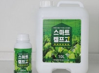 자연愛두피스켈프 | 순천시, 전남형 균형발전 300프로젝트 '첫 결실'…스마트켈프GO 출시