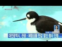 대전광역시관광협회사 | 대전광역시, 관광·체험상품 반값 할인 행사 진행