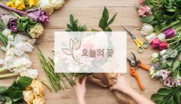 화훼시장 온라인 플랫폼 '오늘의꽃' 새벽배송 서비스 진행 및 업데이트 예정