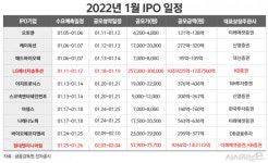 (주)LG화학 낙포저장소 | 1월 IPO 시장도 '북적북적'···LG엔솔 낙수효과 일으킬까