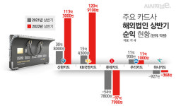 법인광동지점떡먹보 | 카드업계, 국내 업황 악화일로에···동남아 진출 '잰걸음'