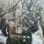 "같이 여행 간 친구 '인생샷' 남겨줬는데 제 사진은 이따위로 찍어 놨습니다"
