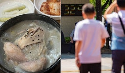 씨유 김해삼계러블리점 | "삼계버거·전복삼김"... 편의점 업계, 초복 앞두고 '이색 보양식' 출시