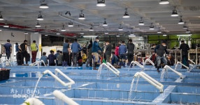 함양옥션경매장 | "값이 한 없이 올라간다고 좋은 경매는 아냐"