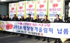 사과사랑예산삽티농원 | `명품 예산사과' 세계인 입맛 사로잡다