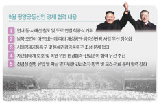 태인남광상회 | 경협테마주 최대호재 정상회담 효과 이번엔 없었다