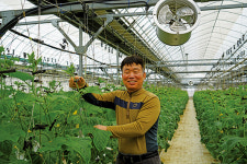 상우기술단주 | 안전한 농산물 위해 시작한 친환경 재배