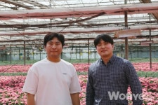 정애꽃묘종 | 소비자가 원하는 볼륨감, 꽃수명 반영한 품종 선택에 집중
