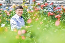정원전산폼(주) | 국내 정원 장미의 성지 '국제화훼종묘(주)'
