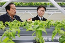 과천시, '사회적경제형 식물공장' 개장