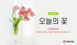 텐바이텐, 매일 다른 꽃 선물하는 '오늘의 꽃' 이벤트