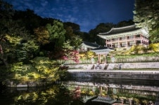 케이서촌달빛경복궁 | 경복궁 별빛야행·창덕궁 달빛기행 '컴백'…20일부터 각종 궁궐행사 재개
