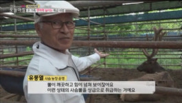 서해양록녹용직판건강원 | 온가족 면역력 높이는 특급 비법, 유풍열건강원의 녹용