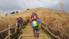 오행선생식 | 24년의 역사를 자랑하는 오행생식 산악회, 건전 산행 문화 만들기에 앞장서