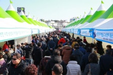 울진군, `죽변항 수산물 축제` 지역대표 축제로 키운다