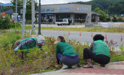 교동새마을부녀회조각공원 | 영주시 부석면 새마을부녀회, 동구산 공원을 쾌적한 쉼터로 단장