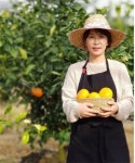 곱닥한제주농부 | 제주농부 직거래 '제주맘뜰', 천혜향 설선물세트 판매개시!