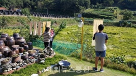 푸른솔농원단율천연염색 | 금산군 학교밖청소년지원센터, '자기계발프로그램 천연염색' 프로그램 진행