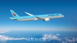 한진인력단대점 | 대한항공, 한진칼 인력파견 관련 'KCGI 보도자료에 대한 입장' 전달