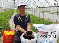 농우바이오 '하나로바이오차'사용 참외농장
