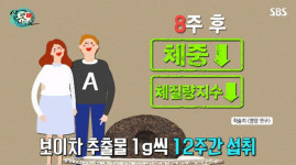 한국한방약차협회지회부산 | 보이차, 수험생들 집중력 높이는데 도움