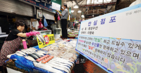수산물판매센터제 - 20581 | "일본산 수산물을 절대 판매하지 않겠습니다"