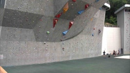 Foto aus Naver-Suchergebnissen 4