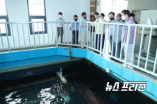 인천 등 유충 수돗물 여파로 고양시, "정수장 수돗물 수질관리 강화"