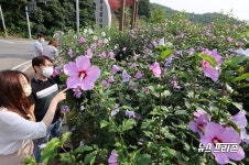Foto hasil carian Naver 3