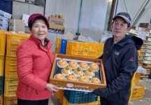 (합)낙안이엔씨 | 순천'낙안배'몽골에 수출길 활로 개척