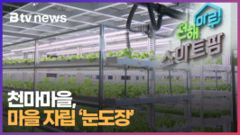 천마마을, 마을 자립 '눈도장' (B tv 부산뉴스)