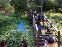 나누구치유숲 | 숲 워킹(숲길체험) 명상 요가…보문산숲치유센터, 숲치유 프로그램 운영