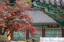 경기도 가볼만한 곳 '화성 용주사' "정조대왕, 사도세자, 혜경궁 홍씨 등의 위패가 모셔진 곳"