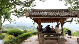 진상매실떡집 | 한국인의 밥상, 구례-매실 구례-은어 영광-백합 남원-어란…여름 보양식 '임금님-여름철 진상 밥상'