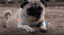 문방구아저씨금곡점 | 순간포착 세상에 이런일이…학생 8천 명 이름을 외우는 문방구 아저씨 '카프라' 장인의 특별한 취미