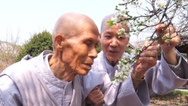 인간극장-부처님 오신날 기획, 부처님이 맺어 준 특별한 인연 '두 스님, 만허와 연정'