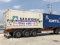 법인하늘농가원유통 | 천안 하늘그린 거봉포도, 뉴질랜드 7톤 수출