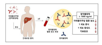 한국간연구재단재 | 한국연구재단, 간암 치료제 조기 내성 규명 연구 소개