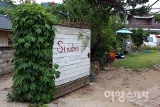우리 포도로 만든 달큼한 한 모금, 영동 와이너리 투어