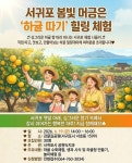 힐링드림팜법인 | 하귤 따기 힐링체험 행사 개최