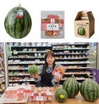 씨유(CU)광주수박등점 | CU, 1인가구용 5kg 내외 통수박부터 조각수박 판다