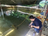 순수수산질병관리원 | 경북도, 漁의사 현장 배치 양식 수산물 경쟁력 확보 총력
