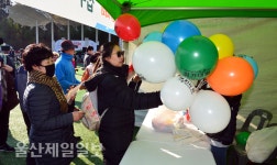 도원물류셀러픽 | 꽃길따라 걷노라니 '소풍 같은 인생'