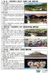 강마을돌담정원 | 광주 서원, 대구 골목정원, 속초 돌담마을, "2020년 지역문화대표브랜드로 선정"