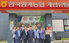 야시대 팜 계란 직판장 | 농식품부, 계란 투명한 거래 가격 형성 위해 공판장 활성화 지원