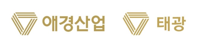 글로벌 토탈뷰티 헤어 앤 스파(Global Total Beauty Hair&Spa) | 태광그룹 품에 안긴 애경산업, “글로벌 토탈뷰티 기업 도약”