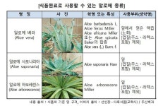 알로에 전잎 건강기능식품, 장기간 섭취에 주의